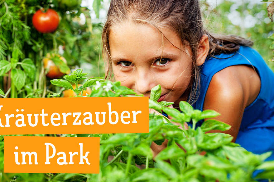 Kräuterzauber im Park